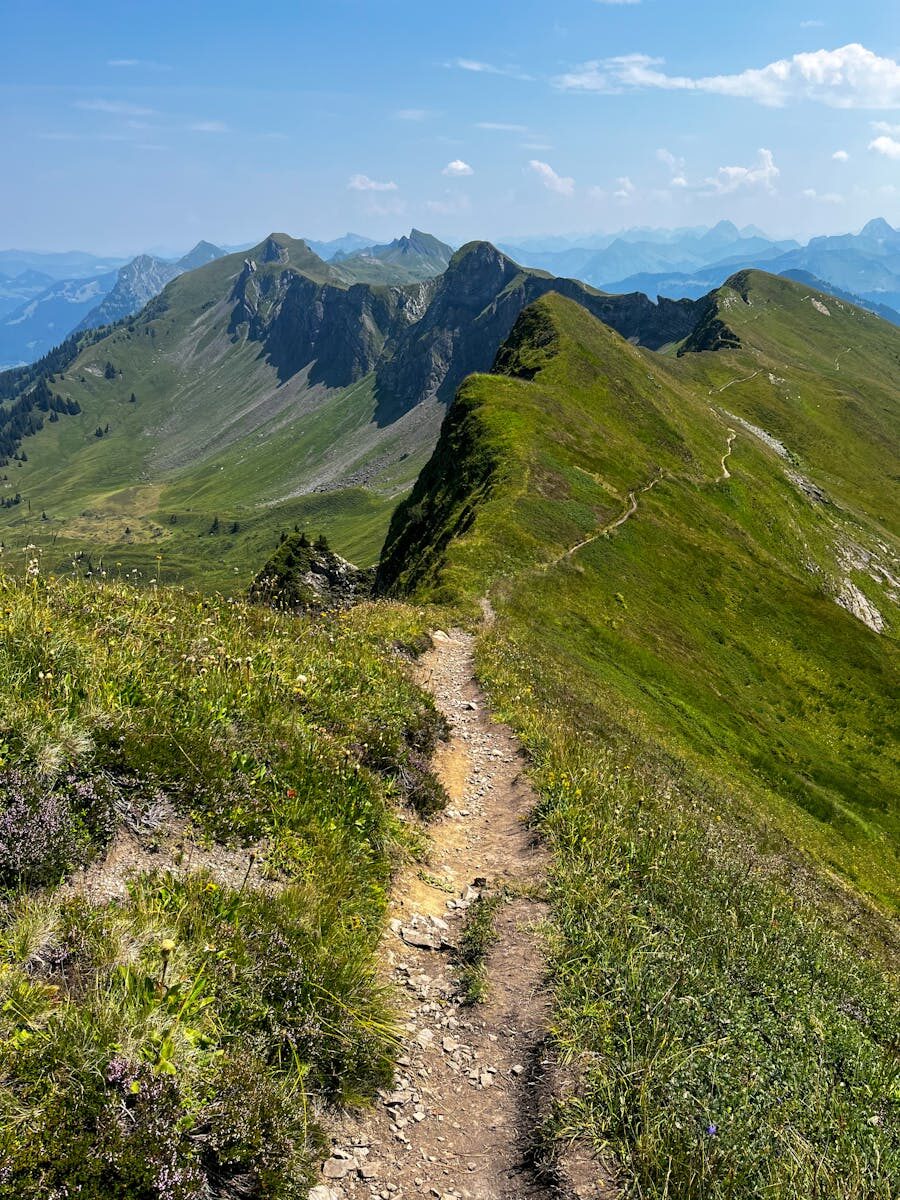 Breathtaking view of a mountain ridge with a narrow hiking trail surrounded by summer greenery.