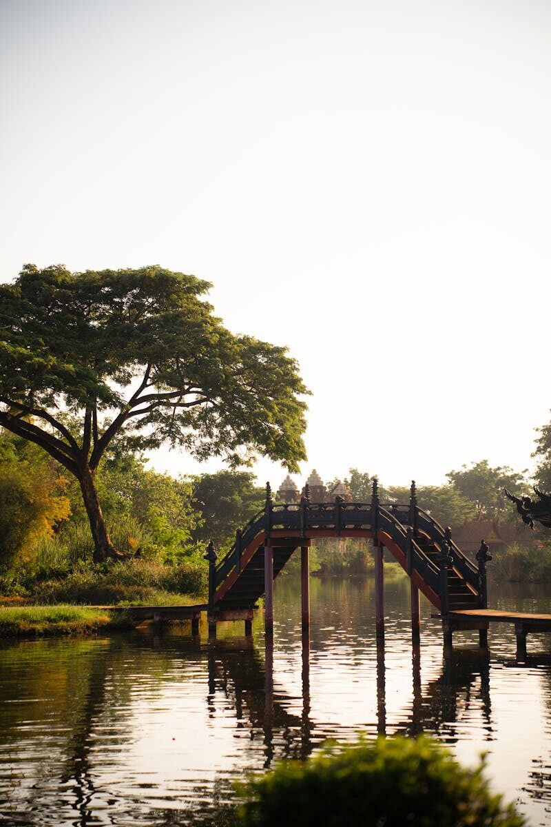 Serene view of a traditional wooden bridge over water in a lush Bangkok park at sunrise.